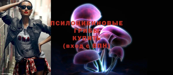 молекула духа Сосновый Бор