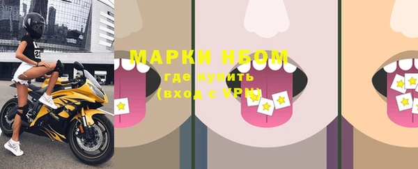 спайс Ельня