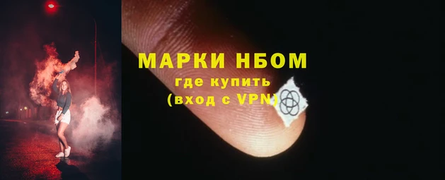 mdpv Елизово