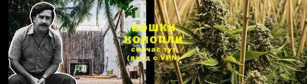 молекула духа Сосновый Бор