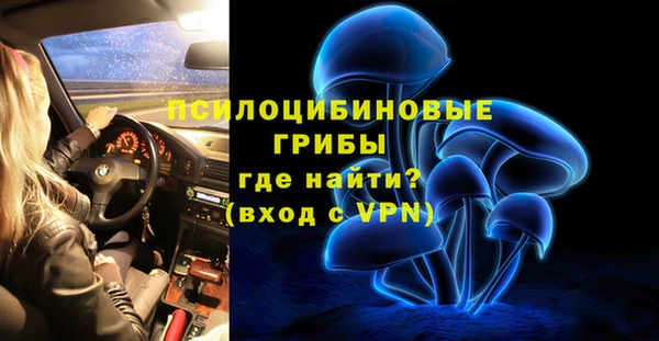 mdpv Елизово